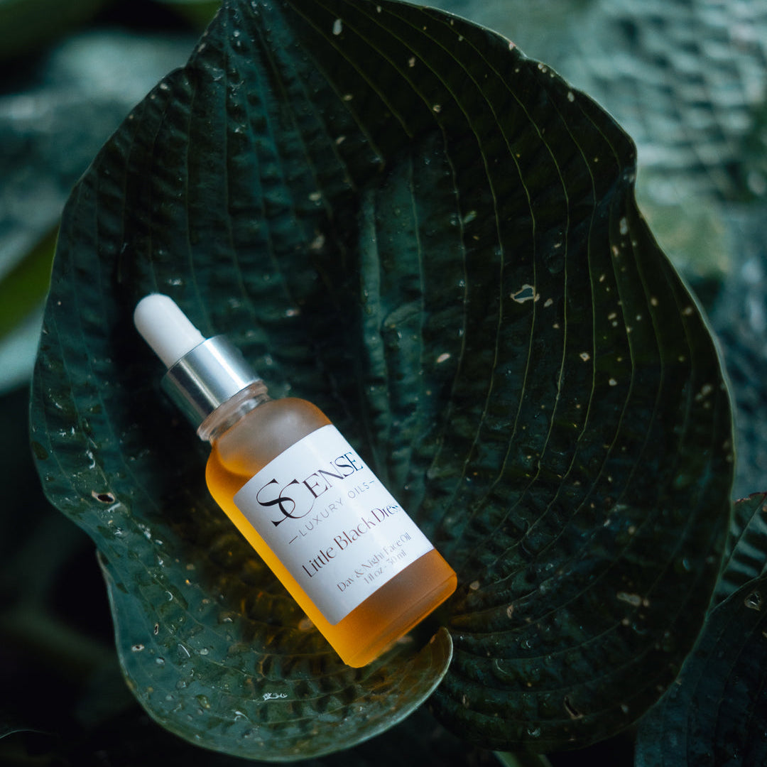 Skincare serum bottle on a large green leaf